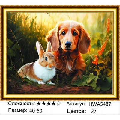 AM45 HWA5487, 40х50 см