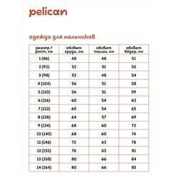 BFT3352/2U (Футболка для мальчика, Pelican Outlet )