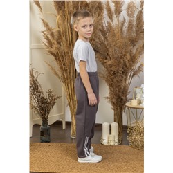 Брюки с лампасами (футер с начесом) 2-206б