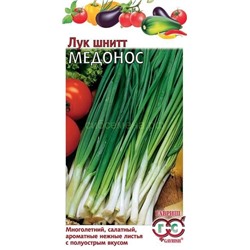 Лук  шнитт Медонос (Гавр)