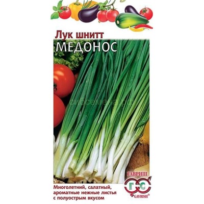 Лук  шнитт Медонос (Гавр)