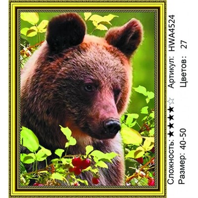 AM45 HWA4524, 40х50 см