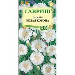Василек Белая корона (Гавр)