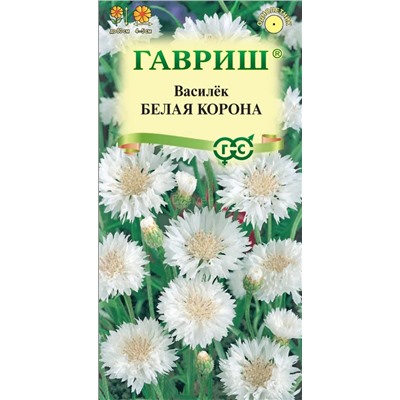 Василек Белая корона (Гавр)