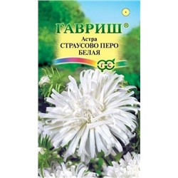 Астра Страусово перо Белая (Код: 92895)