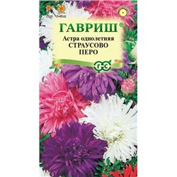 Астра Страусово перо Смесь (Код: 92898)