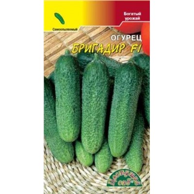 Огурец Бригадир  (Цв.Сад) 0,3г