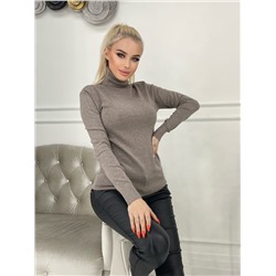 Водолазка 817084