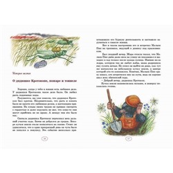 Домик под кустом крыжовника