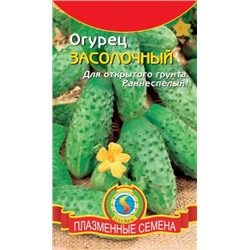 Огурец Засолочный (Плазма) 11шт