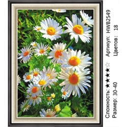AM34 HWB2549, 30х40 см
