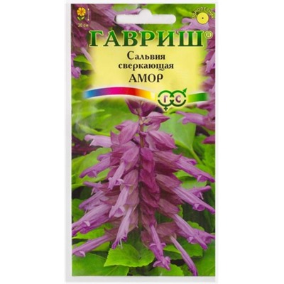 Сальвия Амор (Код: 10788)