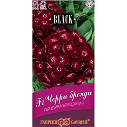 Гвоздика турецкая Черри бренди F1 (Гавр)