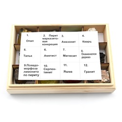 Коллекция минералов и горных пород 12 видов 180*125*40мм