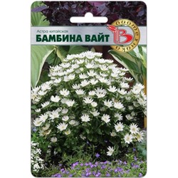 Цв.Астра Бамбина Вайт (Био) 20шт