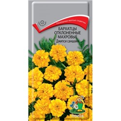 Цв.Барх.Джипси Саншайн (Поиск) 0,4г низ.