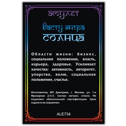 ALE734 Амулет ВАСТУ ЯНТРА СОЛНЦА, кулон со шнурком (металл, размер кулона 36х28 мм.), 1 шт.