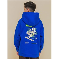 BFNK3336/1 (Толстовка для мальчика, Pelican Outlet )