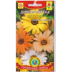 Диморфотека Пастель (Код: 75889)