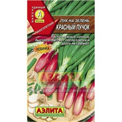 Лук  на зелень Красный пучок (Аэлита)