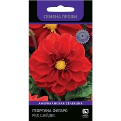 Цв.Георгина Фигаро Ред Шейдс (Поиск) 10шт
