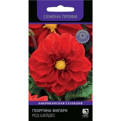 Цв.Георгина Фигаро Ред Шейдс (Поиск) 10шт