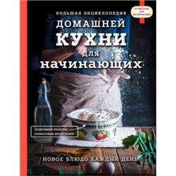 Большая энциклопедия домашней кухни для начинающих