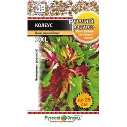 Цв.Колеус Русский размер (НК) 4шт