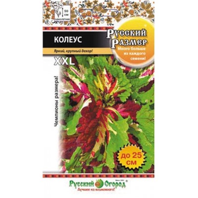Цв.Колеус Русский размер (НК) 4шт
