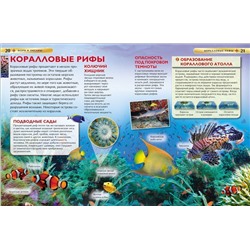 Моря и океаны. Детская энциклопедия