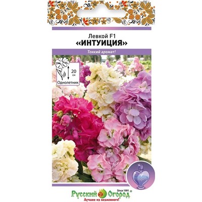 Левкой Интуиция (низкорос.см) (НК)