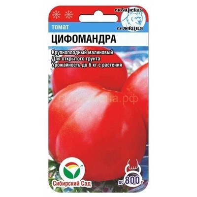 Томат Цифомандра (Сиб сад)
