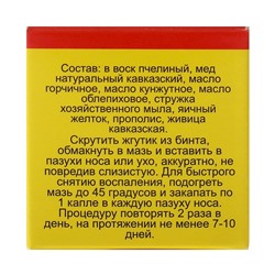 Мазь «Монастырская От гайморита», 25 мл, "Бизорюк"