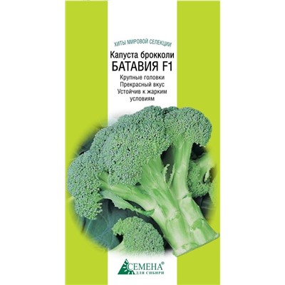 Капуста брокколи Батавия F1, 10сем (цв.) Бейо