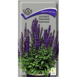 Шалфей Пышный Фиолетовый (Код: 92847)