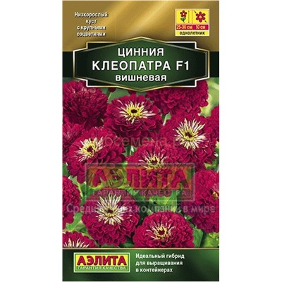 Цинния Клеопатра F1 вишневая (Аэлита)