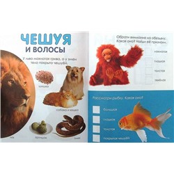 Сравнения:свойства.Примеры.Здания; сер.Готовимся к школе играя
