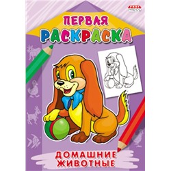 Раскраска   А4 Первая раскраска. Домашние животные 8л. Р-9063