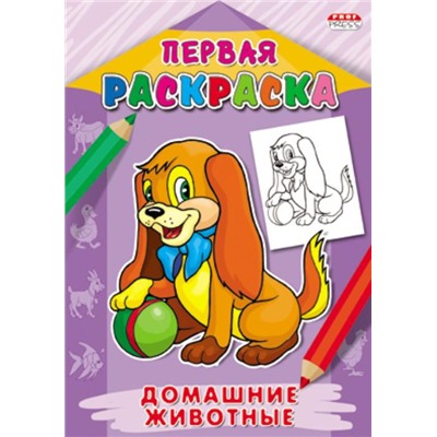 Раскраска   А4 Первая раскраска. Домашние животные 8л. Р-9063