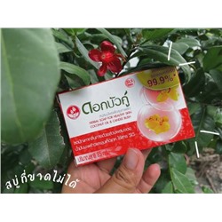 Herbal Soap For Healthy Skin COCONUT OIL & CANDLE BUSH, Twin Lotus (Травяное мыло С КОКОСОВЫМ МАСЛОМ И КАССИЕЙ КРЫЛАТОЙ, Твин Лотус), 60 г.
