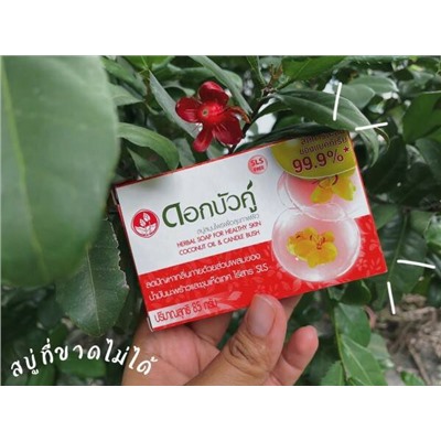 Herbal Soap For Healthy Skin COCONUT OIL & CANDLE BUSH, Twin Lotus (Травяное мыло С КОКОСОВЫМ МАСЛОМ И КАССИЕЙ КРЫЛАТОЙ, Твин Лотус), 60 г.