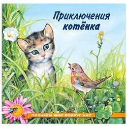 Кн. Познаем мир вокруг нас. Приключение котенка 16 цветн.стр. 21*21см 28220