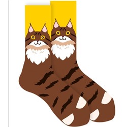 Носки р.35-40 "Cute Animals" Котя