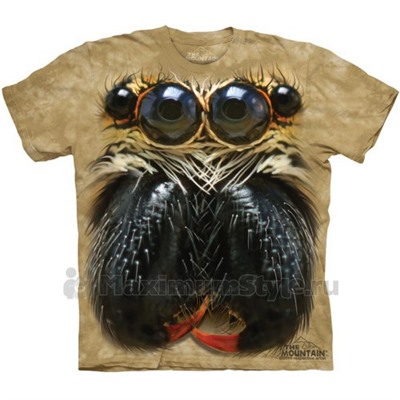 Футболка The Mountain "Jumping Spider Face" (детская)