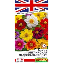 Георгина Английская Садово-Парковая