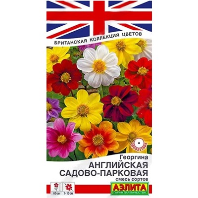 Георгина Английская Садово-Парковая