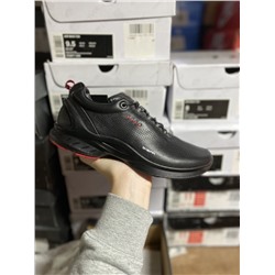 ecco colour description