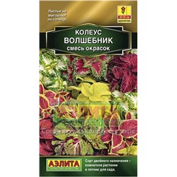 Колеус Волшебник смесь окрасок (Аэлита)