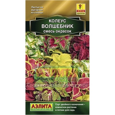Колеус Волшебник смесь окрасок (Аэлита)