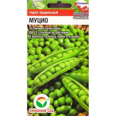 Горох Муцио (Код: 86595)